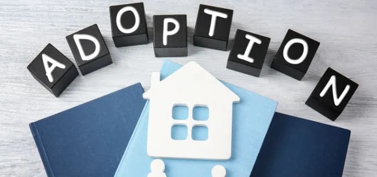 Divorce Lawyer in Trivandrum: Legal Guide to Child Adoption Laws in India